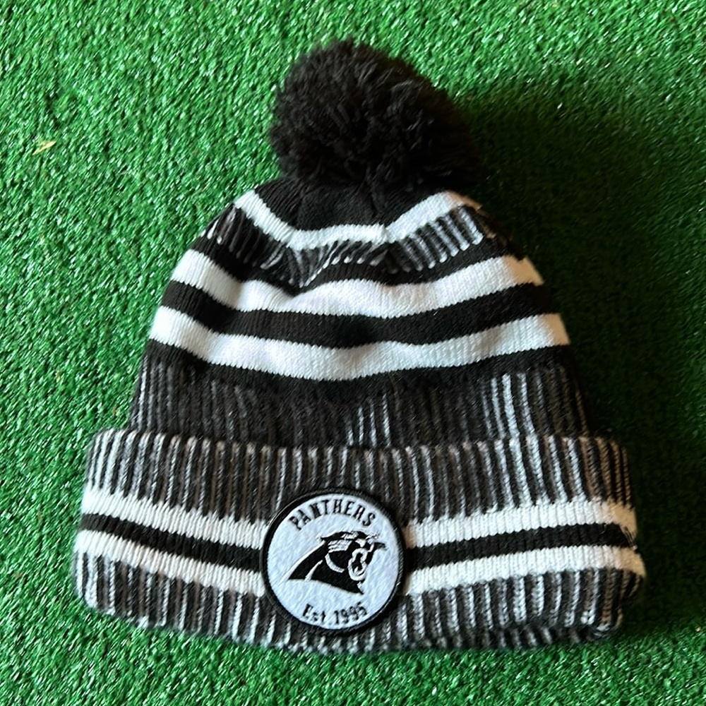 Carolina Panthers NFL Toboggan!